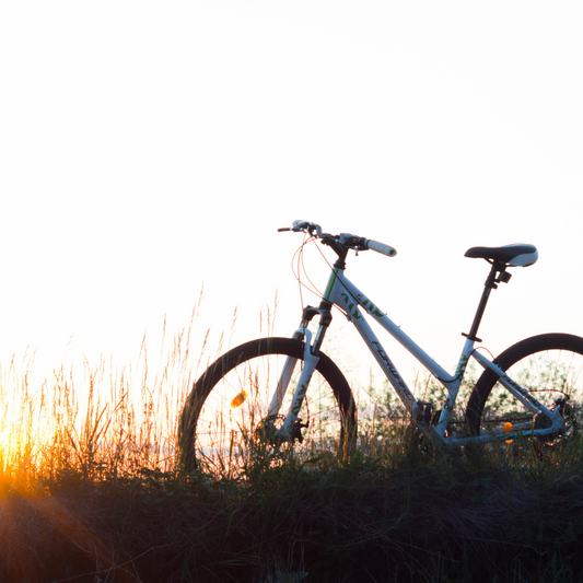 Mindfulness on the Mountain: Finding Your Flow on Two Wheels