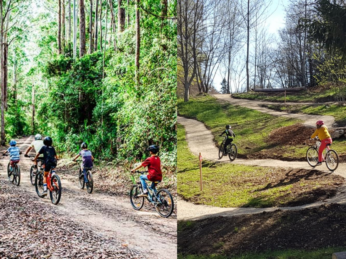 Two Wheels, Two Worlds: Forest Trails vs. Bike Parks