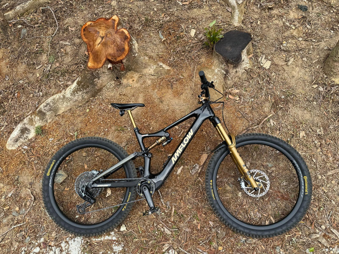 Beyond the Trails: Why Mountain Biking is More Than Just a Sport
